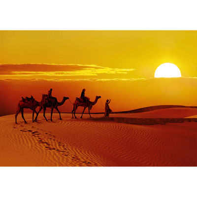 DecorGlance Wallpaper Rajasthani Camel Sunset Abstract Digitally Printed Wallpaper
