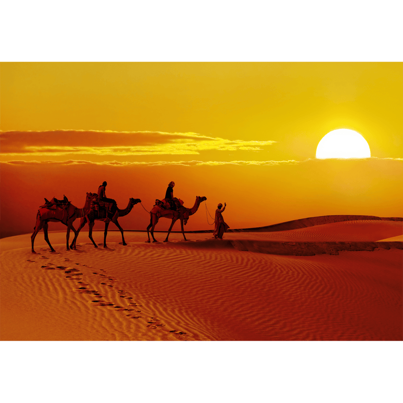 DecorGlance Wallpaper Rajasthani Camel Sunset Abstract Digitally Printed Wallpaper