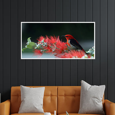 Little Bird Canvas Floating Frame Wall Painting