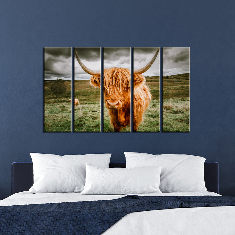 Highland Cattle With Scenic Canvas Wall Painting- With 5 Frames