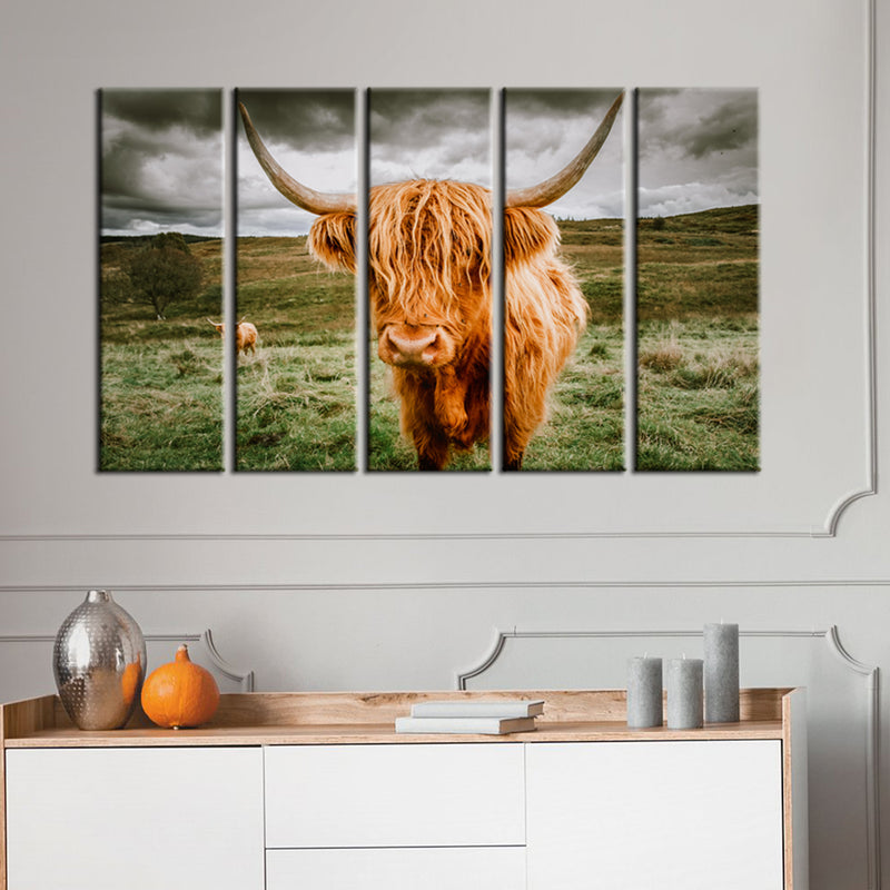 Highland Cattle With Scenic Canvas Wall Painting- With 5 Frames